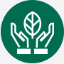 Leaf Icon