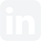 LinkedIn Social Icon